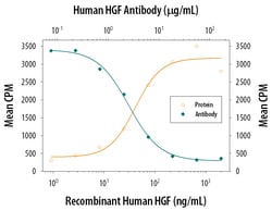 Human HGF Antibody, R D Systems 1mg; Unlabeled:Antibodies, Polyclonal