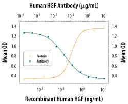 Human HGF Antibody, R D Systems 100&mu;g; Unlabeled:Antibodies, Polyclonal