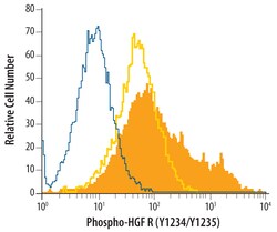 Human/Mouse Phospho-HGFR/c-MET (Y1234/Y1235) Antibody, R D Systems 50 &mu;g | Buy Online | R&D Systems | Fisher Scientific