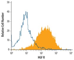 Human HGFR/c-MET Antibody, R D Systems 100ug; Unlabeled:Antibodies, Monoclonal