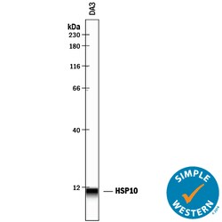 Mouse HSP10/EPF Antibody, R D Systems 25&mu;g; Unlabeled:Antibodies, Polyclonal