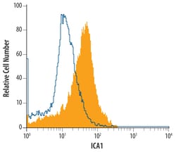 Human ICA1 Antibody, R D Systems 25&mu;g; Unlabeled:Antibodies, Polyclonal
