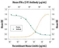 Mouse IFN-alpha/beta R1 Antibody, R D Systems 25&mu;g; Unlabeled:Antibodies,