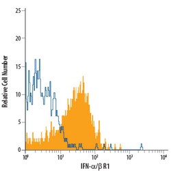 Human IFN-alpha/beta R1 APC-conjugated Antibody, R D Systems 100 Tests;