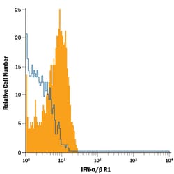 Human IFN-alpha/beta R1 Alexa Fluor 700-conjugated Antibody, R D Systems
