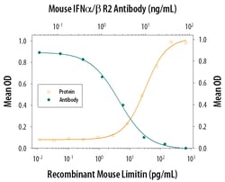 Mouse IFN-alpha/beta R2 Antibody, R D Systems 25&mu;g; Unlabeled:Antibodies,