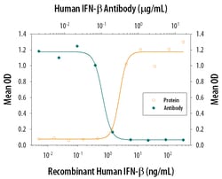 Human IFN-beta Antibody, R D Systems 25μg; Unlabeled:Antibodies, Polyclonal