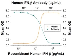 Human IFN-beta Antibody, R D Systems:Antibodies:Primary Antibodies