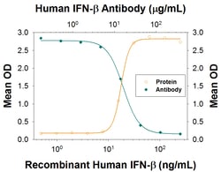Human IFN-beta Antibody, R D Systems:Antibodies:Primary Antibodies