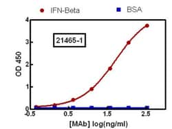 Human IFN-beta Antibody, R D Systems 50ug; Unlabeled:Antibodies, Monoclonal
