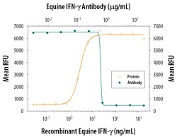 Equine IFN-gamma Antibody, R D Systems 25&mu;g; Unlabeled:Antibodies, Polyclonal