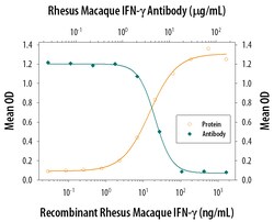 Rhesus Macaque IFN-gamma Antibody, R D Systems 25&mu;g; Unlabeled:Antibodies,