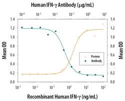 Human IFN-gamma Antibody, R D Systems:Antibodies:Primary Antibodies