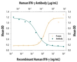 Human IFN-gamma Antibody, R D Systems:Antibodies:Primary Antibodies