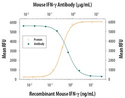 Mouse IFN-gamma Antibody, R D Systems 500&mu;g; Unlabeled:Antibodies, Monoclonal