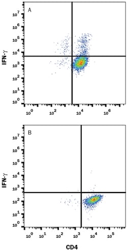 Mouse IFN-gamma Antibody, R D Systems 500&mu;g; Unlabeled:Antibodies, Monoclonal