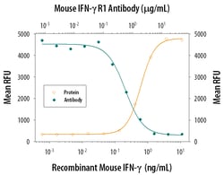 Mouse IFN-gamma R1/CD119 Antibody, R D Systems 100&mu;g; Unlabeled:Antibodies,