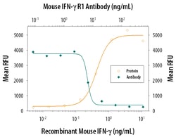Mouse IFN-gamma R1/CD119 Antibody, R D Systems 500ug; Unlabeled:Antibodies,