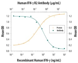 Human IFN-gamma R2 Antibody, R D Systems 25 &mu;g | Buy Online | R&D Systems | Fisher Scientific
