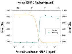 Human IGFBP-2 Antibody, R D Systems 25&mu;g; Unlabeled:Antibodies, Polyclonal