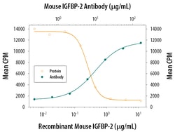 Mouse IGFBP-2 Antibody, R D Systems 500ug; Unlabeled:Anticuerpos
