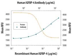 Human IGFBP-4 Antibody, R D Systems 500ug; Unlabeled:Antibodies, Monoclonal