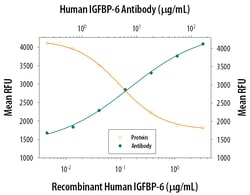 Human IGFBP-6 Antibody, R D Systems 500ug; Unlabeled:Antibodies, Monoclonal