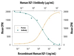 Human IGF-I/IGF-1 Antibody, R D Systems 25&mu;g; Unlabeled:Antibodies,
