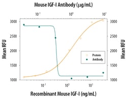 Mouse IGF-I/IGF-1 Antibody, R D Systems 25&mu;g; Unlabeled:Antibodies,