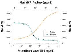 Mouse IGF-I/IGF-1 Antibody, R D Systems 25 &mu;g | Buy Online | R&D Systems | Fisher Scientific