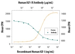 Human/Mouse IGF-I R/IGF1R Antibody, R D Systems 25&mu;g; Unlabeled:Antibodies,