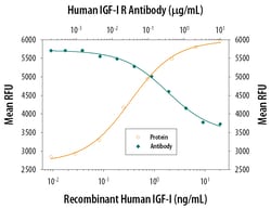 Human/Mouse IGF-I R/IGF1R Antibody, R D Systems:Antibodies:Primary Antibodies