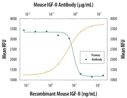 Mouse IGF-II/IGF2 Antibody, R D Systems 100&mu;g; Unlabeled:Antibodies,