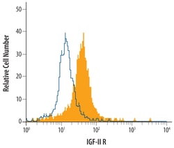 Human IGF-II R/IGF2R Antibody, R D Systems 100 &mu;g | Buy Online | R&D Systems | Fisher Scientific