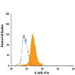 Rat F(ab)2 IgG (H+L) Fluorescein-conjugated Antibody, R&D Systems™