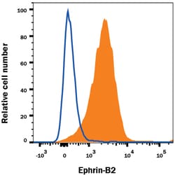 Goat IgG (H+L) PE-conjugated Antibody, R&D Systems™