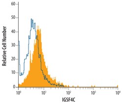 Human IGSF4C/SynCAM4 Antibody, R D Systems 100ug; Unlabeled:Antibodies,