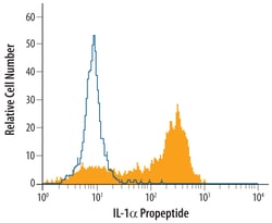Human IL-1 alpha/IL-1F1 Propeptide Antibody, R D Systems 100&mu;g; Unlabeled:Antibodies,