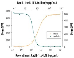 Rat IL-1 alpha/IL-1F1 Antibody, R D Systems 100&mu;g; Unlabeled:Antibodies,