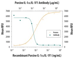 Porcine IL-1 alpha/IL-1F1 Antibody, R D Systems 100&mu;g; Unlabeled:Antibodies,