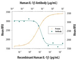 Human IL-1 beta/IL-1F2 Antibody, R D Systems 1 mg | Buy Online | R&D Systems | Fisher Scientific