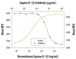Equine IL-1 beta/IL-1F2 Antibody, R D Systems 100&mu;g; Unlabeled:Antibodies,