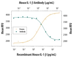 Mouse IL-1 beta/IL-1F2 Antibody, R D Systems:Antibodies:Primary Antibodies