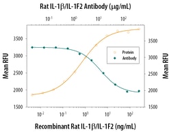 Rat IL-1 beta/IL-1F2 Antibody, R D Systems 25&mu;g; Unlabeled:Antibodies,