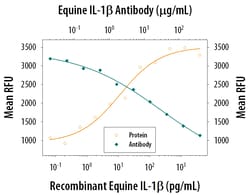 Equine IL-1 beta/IL-1F2 Antibody, R D Systems 25&mu;g; Unlabeled:Antibodies,