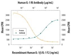 Human IL-1 RI Antibody, R D Systems 100&mu;g; Unlabeled:Antikörper
