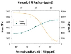 Human IL-1 RII Antibody, R D Systems:Antibodies:Primary Antibodies