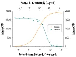 Mouse IL-10 Antibody, R D Systems 1 mg | Buy Online | R&D Systems | Fisher Scientific