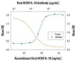 Viral HCMV IL-10 Antibody, R D Systems 25&mu;g; Unlabeled:Antibodies, Polyclonal