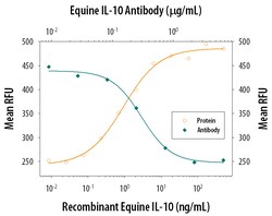 Equine IL-10 Antibody, R D Systems 25&mu;g; Unlabeled:Antibodies, Polyclonal